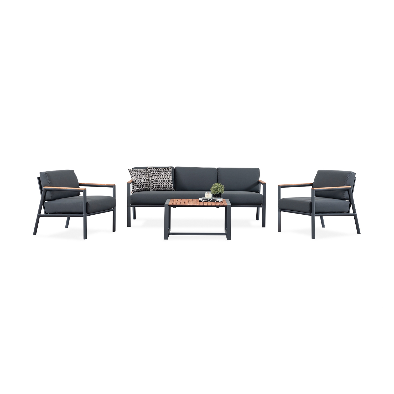 BEGONIA SET
