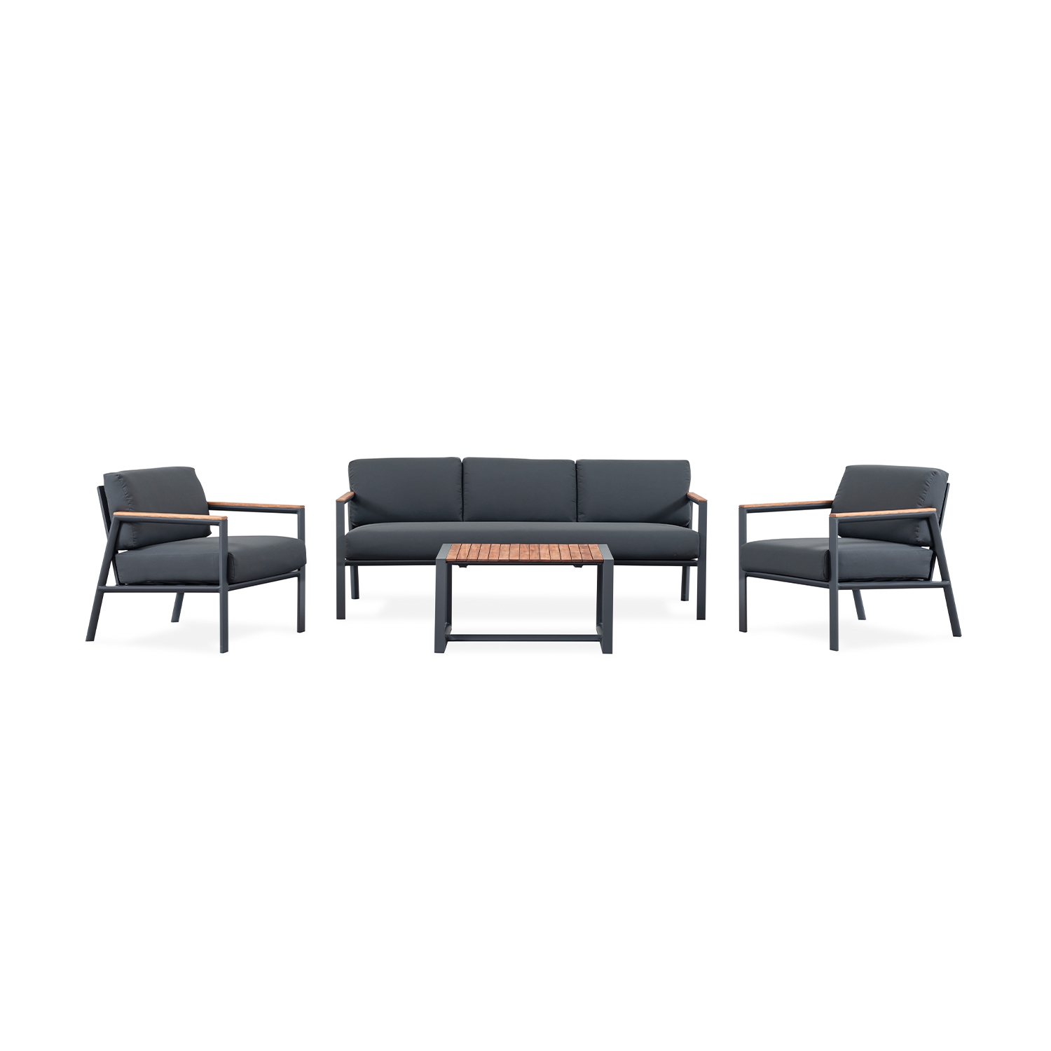 BEGONIA SET