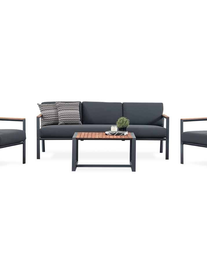 BEGONIA SET