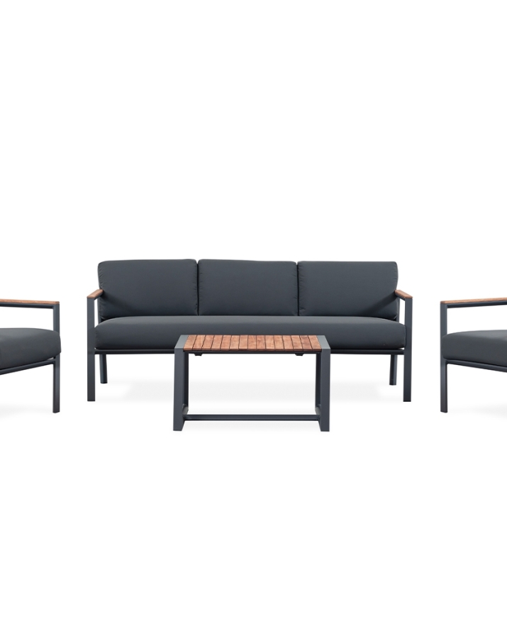 BEGONIA SET